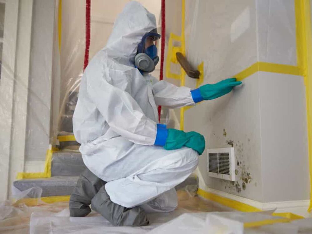 Restored-Right-Mold-Remediation-1