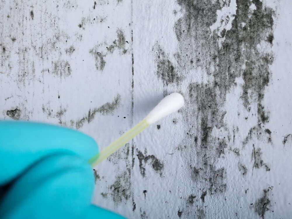 Restored_Right-Mold-Testing-2